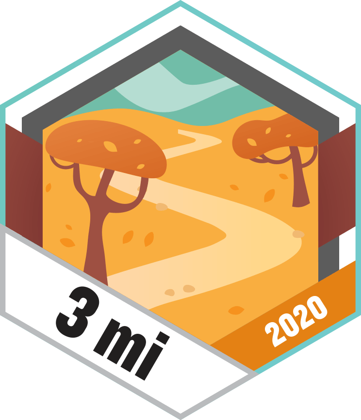 Wochenend-Spaziergang im November