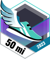 November im Laufschritt