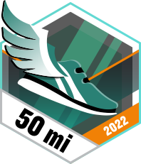 November im Laufschritt