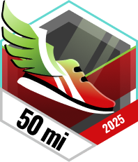 Dezember im Laufschritt